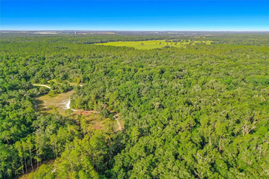 33099 Coral Rock Drive, Webster, FL 33597 - #3