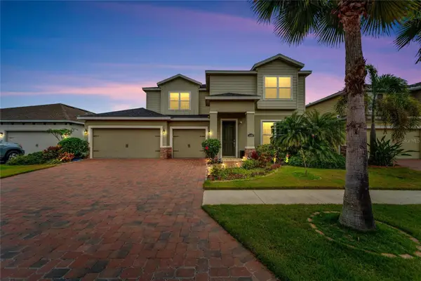 11628 Lake Lucaya Drive, RIVERVIEW, FL 33579