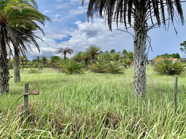 Dan Brown Hill Road, BROOKSVILLE, FL 34602