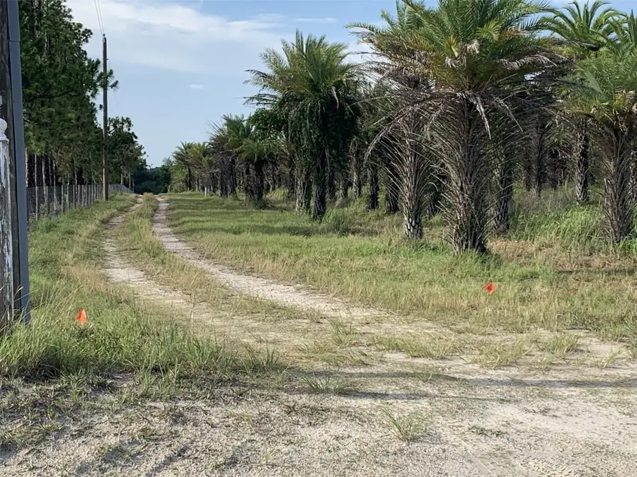 Dan Brown Hill Road, Brooksville, FL 34602 - #2