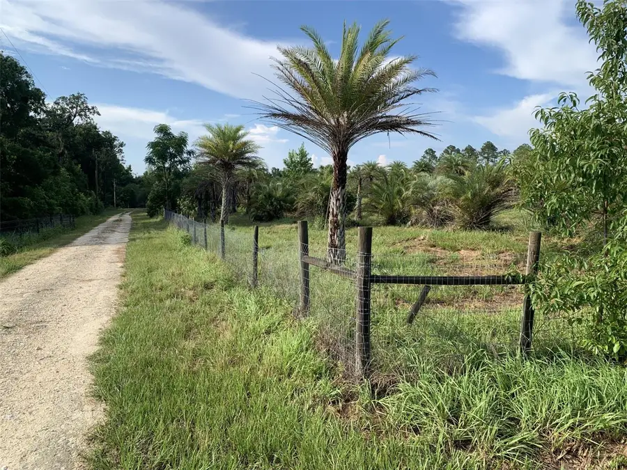 Dan Brown Hill Road, Brooksville, FL 34602 - #3