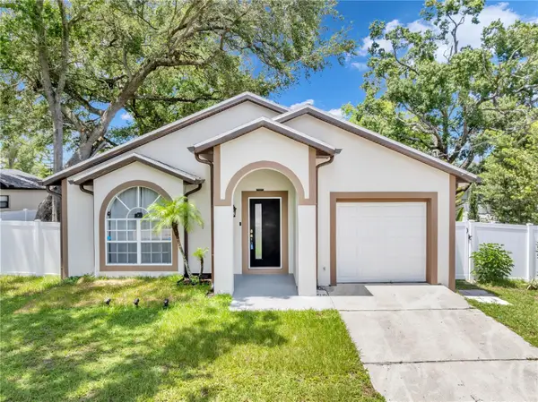 1103 W Kirby Street, TAMPA, FL 33604