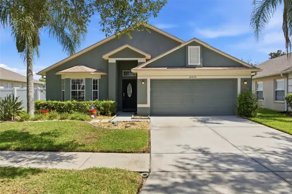 18929 New Passage Boulevard, LAND O LAKES, FL 34638