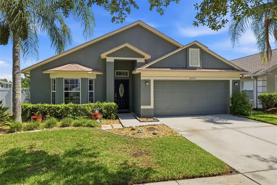 18929 New Passage Boulevard, Land O Lakes, FL 34638 - #3