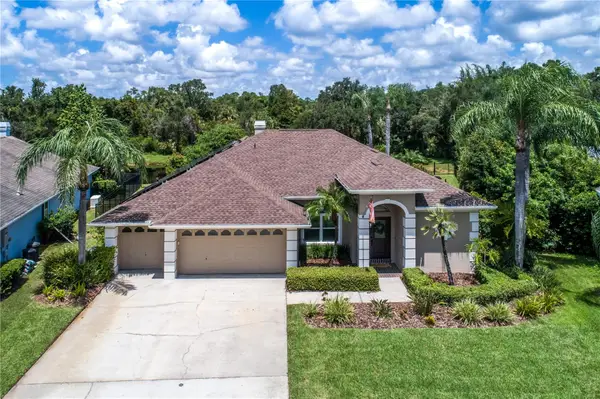10116 Bennington Drive, TAMPA, FL 33626