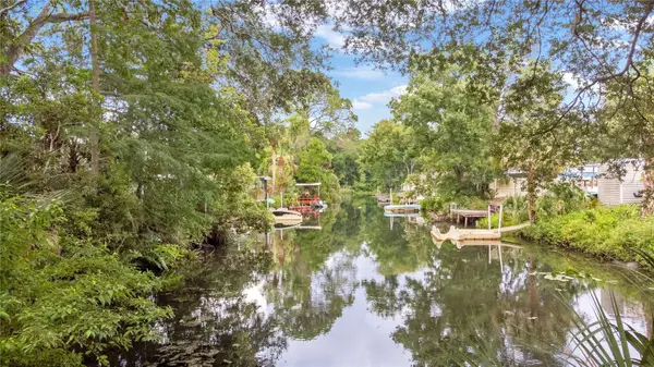6416 Theresa Avenue, WEEKI WACHEE, FL 34607