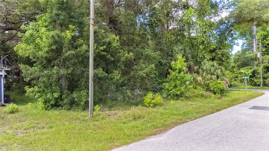 6416 Theresa Avenue, Weeki Wachee, FL 34607 - #2