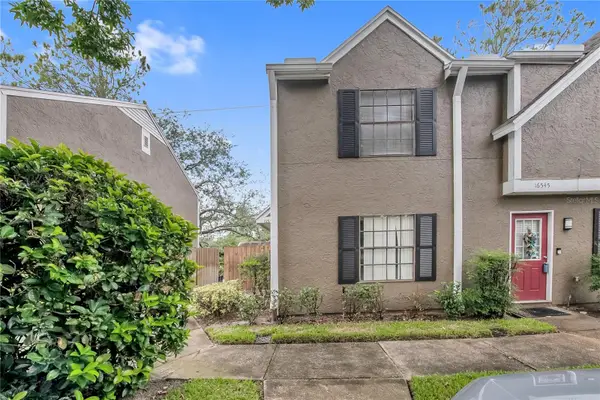 16547 Lake Brigadoon Circle, TAMPA, FL 33618
