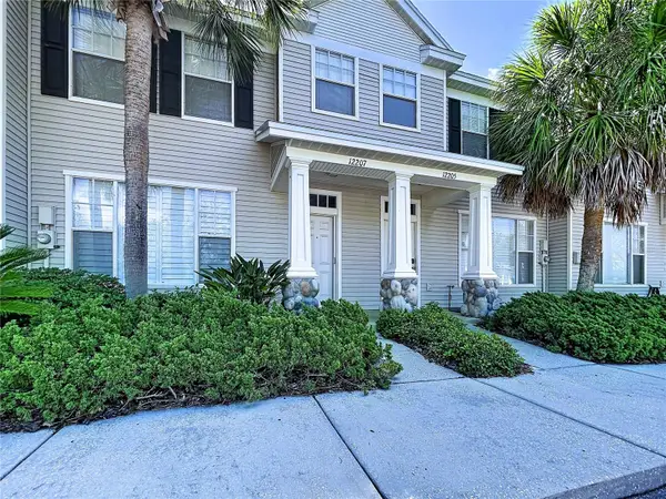 12207 Country White Circle, TAMPA, FL 33635