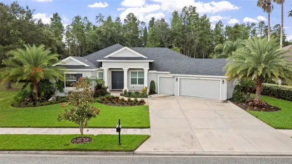 20454 Lace Cascade Rd, LAND O LAKES, FL 34637