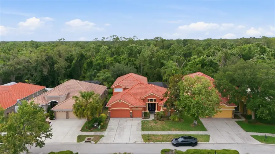 11639 Belle Haven Drive, New Port Richey, FL 34654 - #2