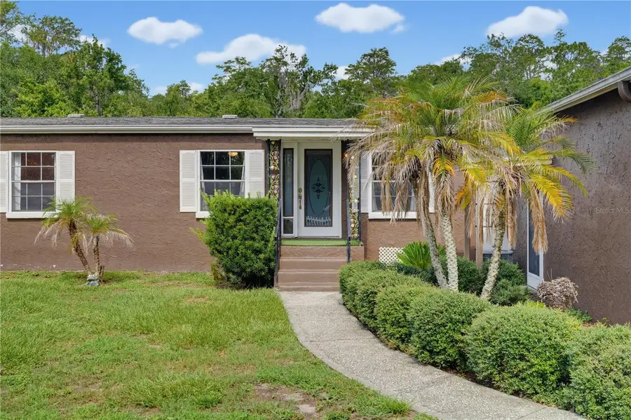7421 Henry Drive, Land O Lakes, FL 34638 - #2
