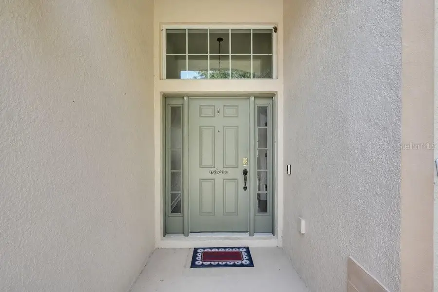 11109 Wembley Landing Drive, Lithia, FL 33547 - #3