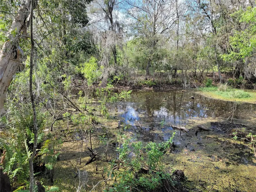 TBD Bell Lake Road, Land O Lakes, FL 34639 - #2