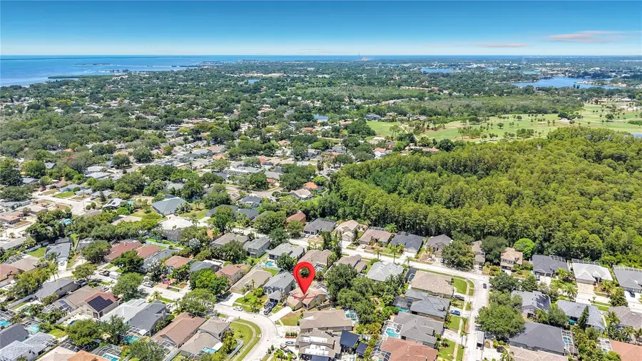 437 Briland Street, Tarpon Springs, FL 34689 - #2