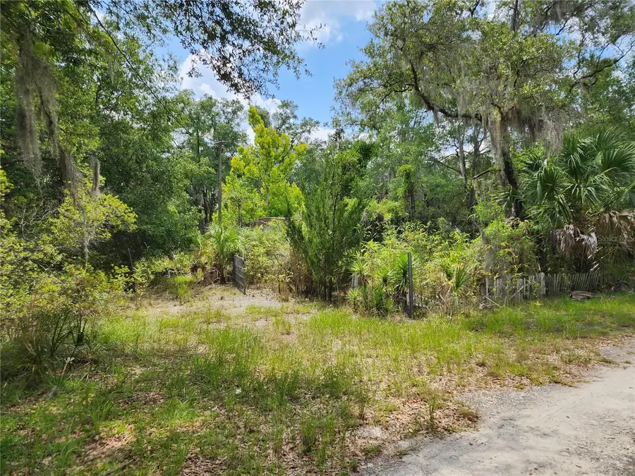 11335 N Ginny Lane Point, Inglis, FL 34449 - #2