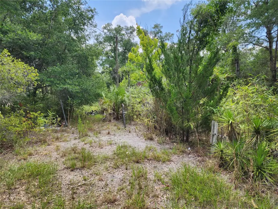 11335 N Ginny Lane Point, Inglis, FL 34449 - #3