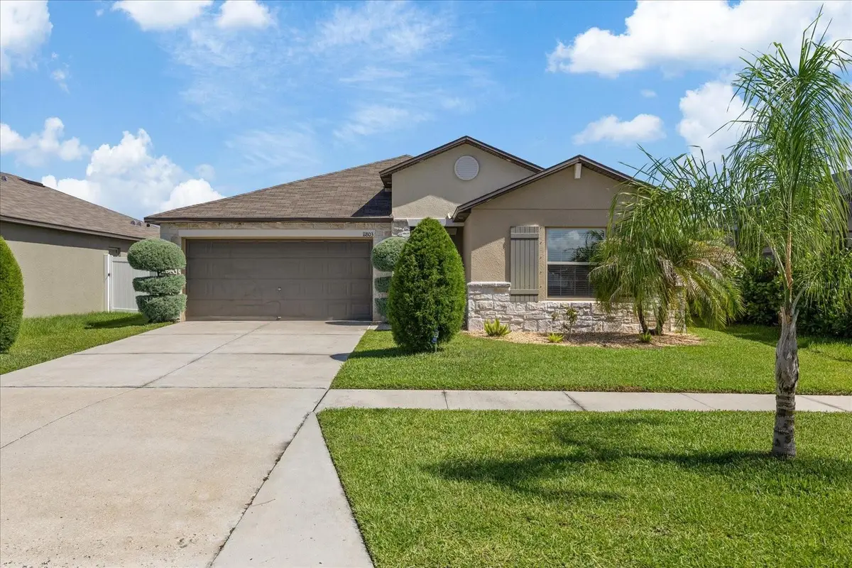 11803 Blackeyed Susan Drive, Riverview, FL 33579 - #1