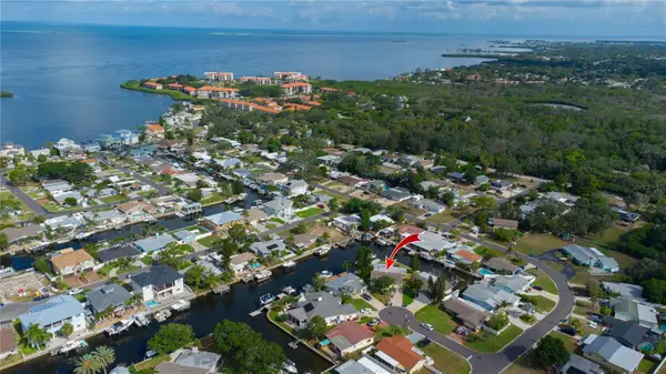 318 Circle Drive, PALM HARBOR, FL 34683