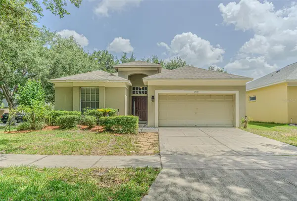 19145 Wood Sage Drive, TAMPA, FL 33647