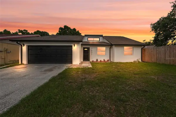 7901 Timberlane West Drive, TAMPA, FL 33615