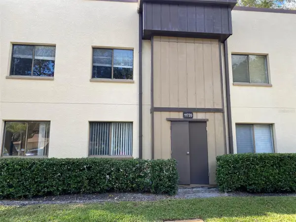 11720 Raintree Lake Lane #B, TAMPA, FL 33617