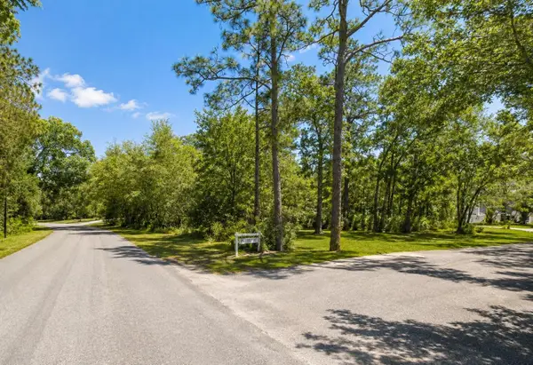 Seagrape Street, HOMOSASSA, FL 34446