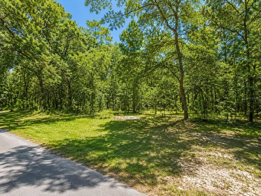 Seagrape Street, Homosassa, FL 34446 - #2