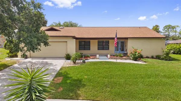 2311 Long Green Court, VALRICO, FL 33596