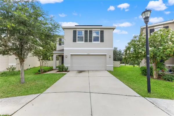 10823 Trailing Vine Drive, TAMPA, FL 33610