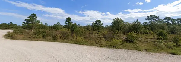 Coral Rock Drive, WEBSTER, FL 33597