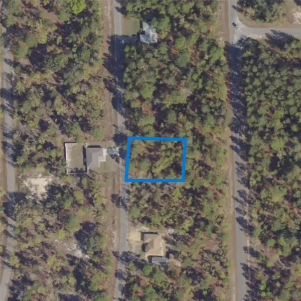 17 Fisher Lane Terrace, OCKLAWAHA, FL 32179