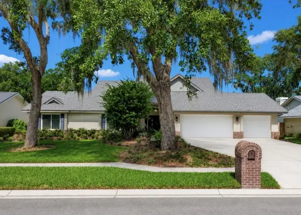 2517 Mason Oaks Drive, VALRICO, FL 33596
