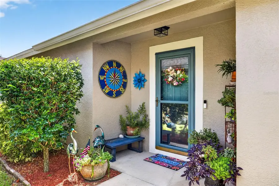 19355 Haskell Place, Land O Lakes, FL 34638 - #3