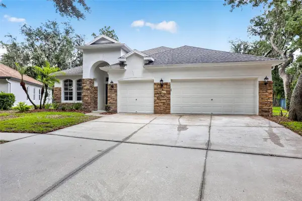 6135 Whimbrelwood Drive, LITHIA, FL 33547