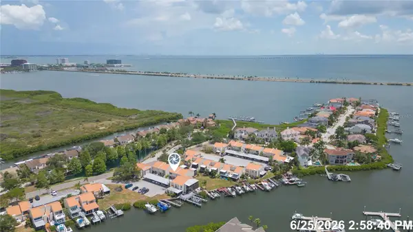 4207 Fogcutter Court, TAMPA, FL 33615