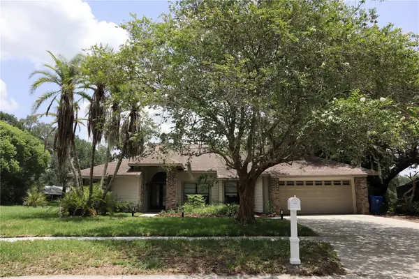 10428 Tara Drive, RIVERVIEW, FL 33578