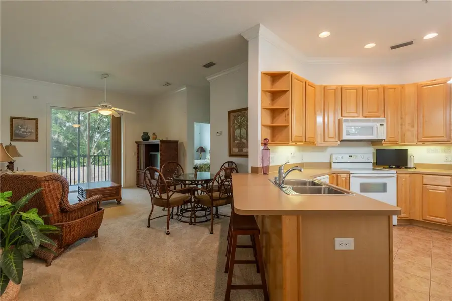6815 Dali Avenue #205, Land O Lakes, FL 34637 - #3