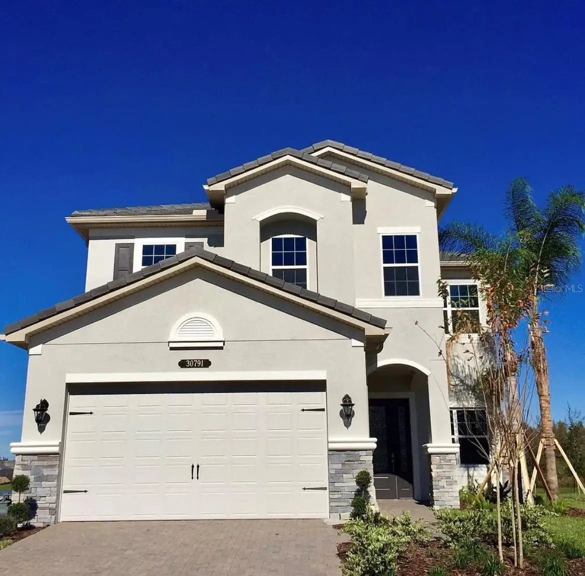 30791 Lindentree Drive, Wesley Chapel, FL 33543 - #1