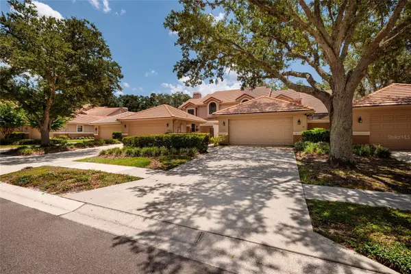 17557 Fairmeadow Drive, TAMPA, FL 33647