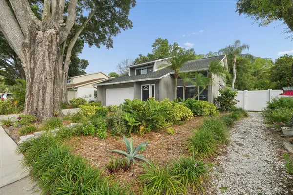 4712 Deerwalk Avenue, TAMPA, FL 33624