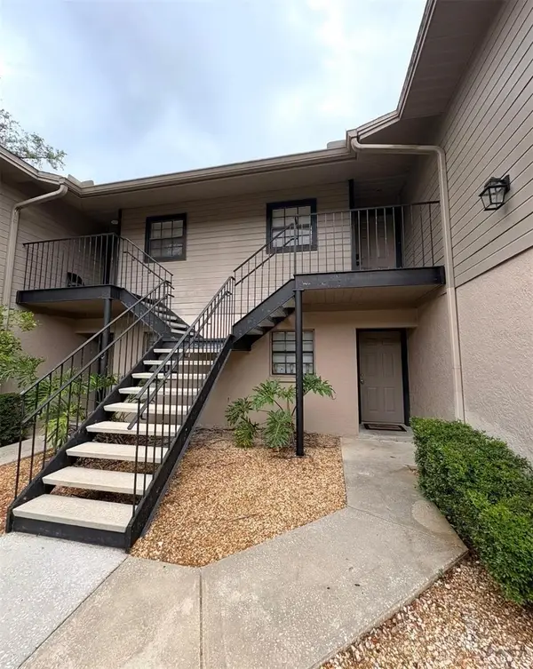 4015 Ashford Green Place #D202, TAMPA, FL 33613