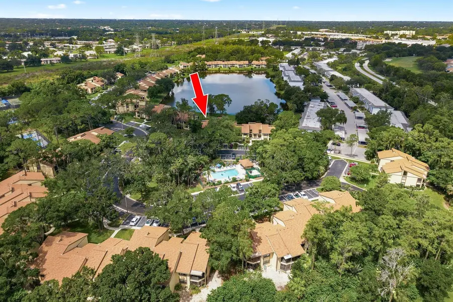 10 Woodlake Place, Oldsmar, FL 34677 - #2