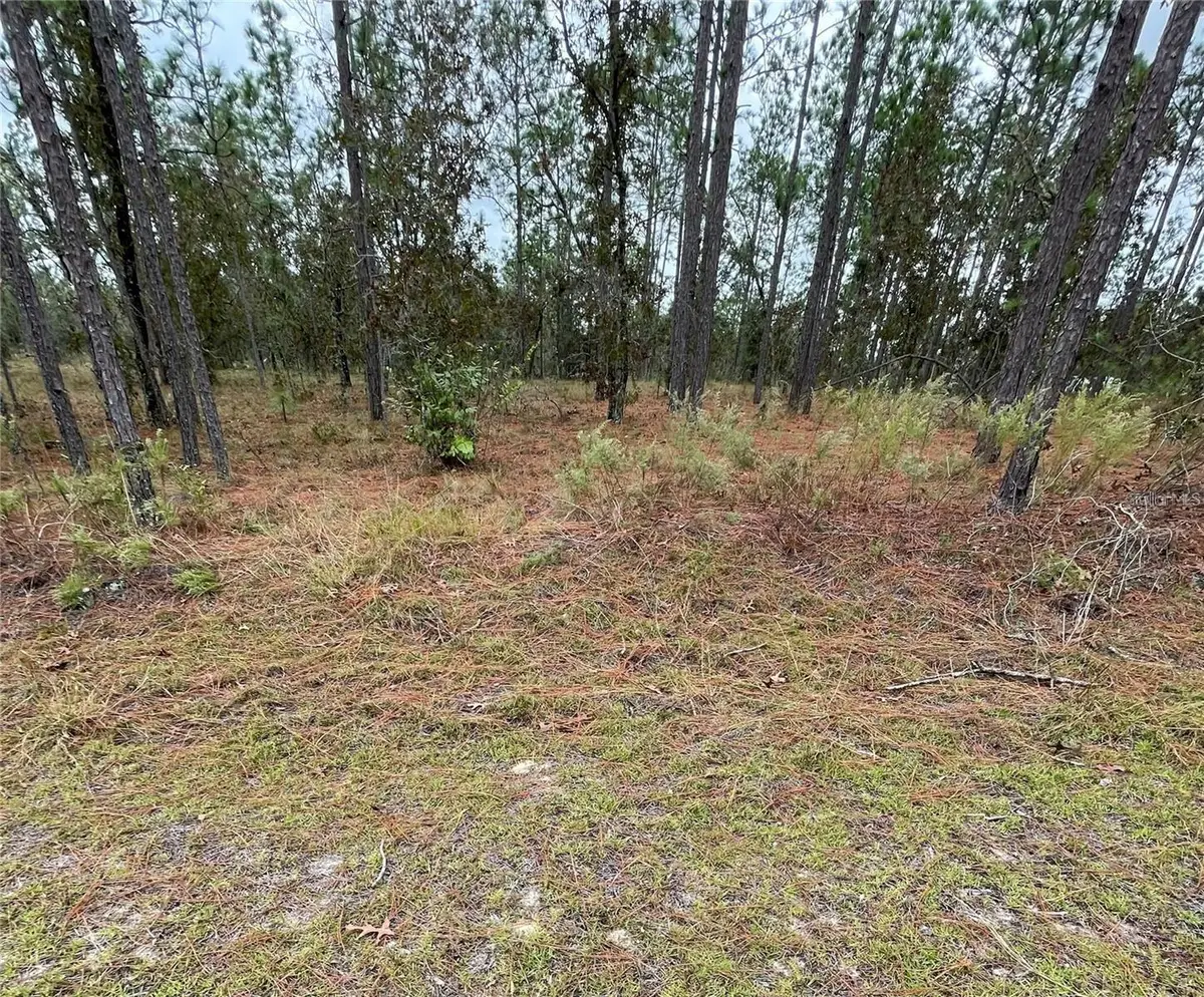 SE 133rd Avenue, Dunnellon, FL 34431 - #1