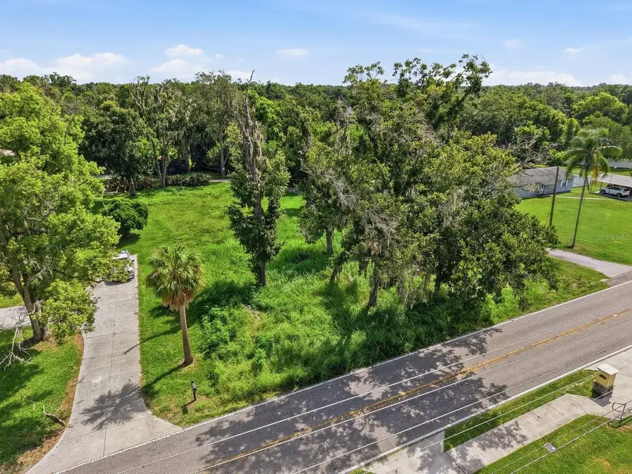 Durant Road, Valrico, FL 33594 - #3