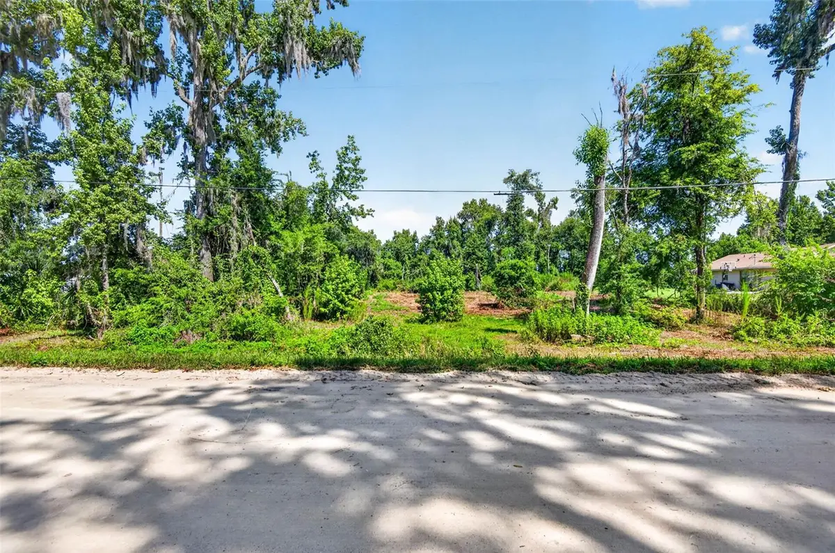 0 Sumner Lake Road, Dade City, FL 33525 - #1