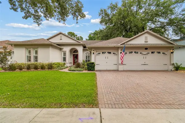 3825 Misty Landing Drive, VALRICO, FL 33594