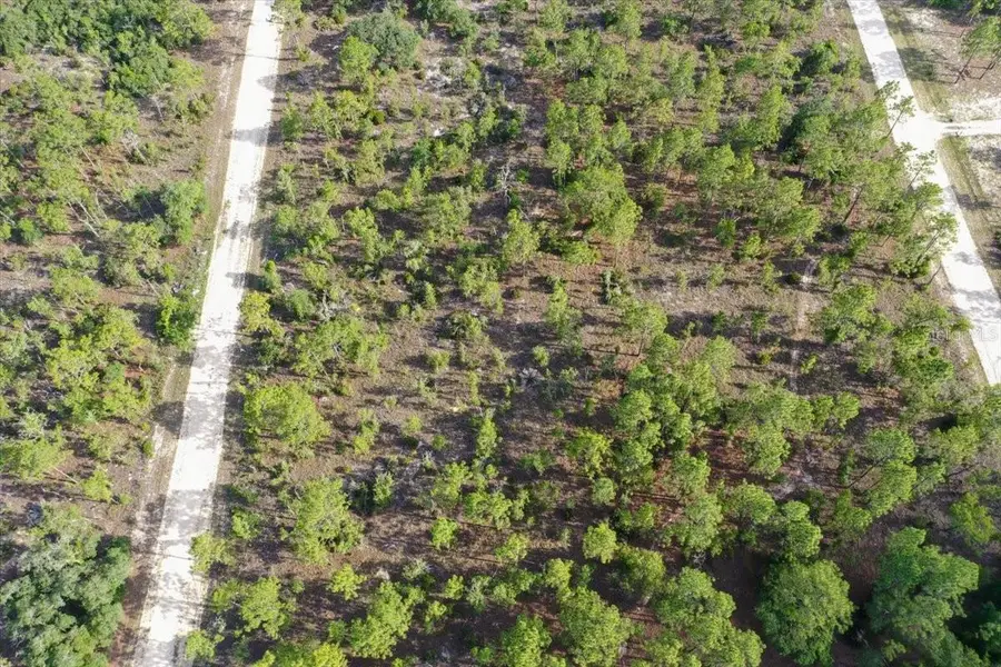 0000 NE 132 Terrace Lot 3 Terrace, Williston, FL 32696 - #2