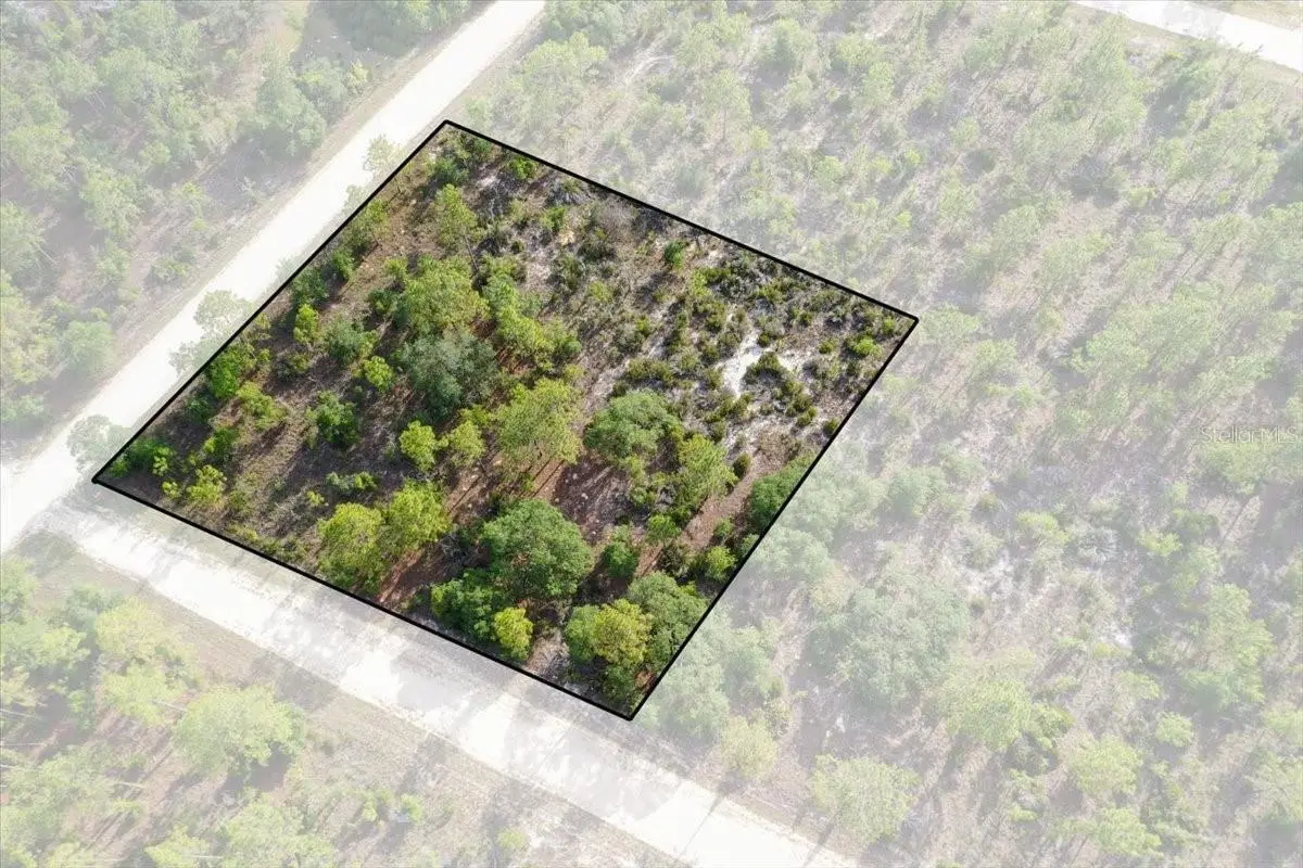 0000 NE 132 Terrace Lot 5 Terrace, Williston, FL 32696 - #1