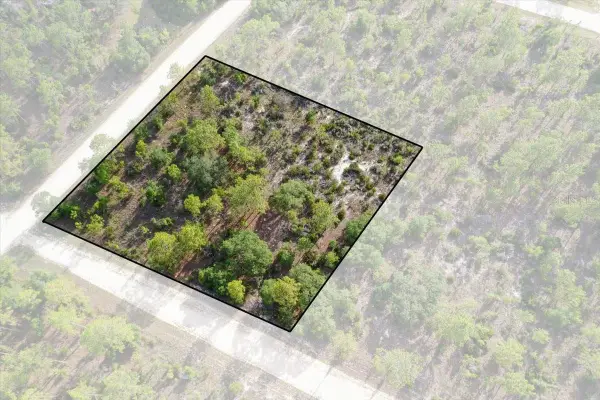 0000 NE 132 Terrace Lot 5 Terrace, WILLISTON, FL 32696